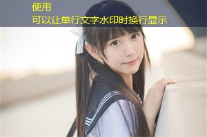 Social problems and technological solutions： The case of Shanghai