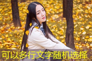 上海的可持续发展与 __ 问题